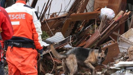Glissements de terrain à Hiroshima: nouveau bilan, 72 morts et 10 disparus