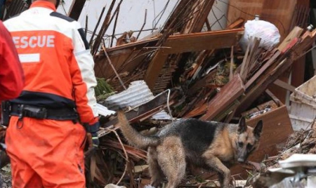 Glissements de terrain à Hiroshima: nouveau bilan, 72 morts et 10 disparus