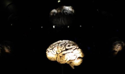 Neurosciences: que se passe-t-il quand on se souvient ?