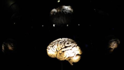 Neurosciences: que se passe-t-il quand on se souvient ?