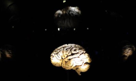 Neurosciences: que se passe-t-il quand on se souvient ?