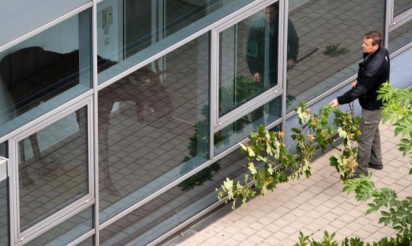 Apeuré, un élan se réfugie dans un immeuble de bureaux en Allemagne