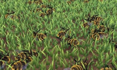 Les abeilles sauvages se portent bien en ville