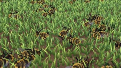 Les abeilles sauvages se portent bien en ville