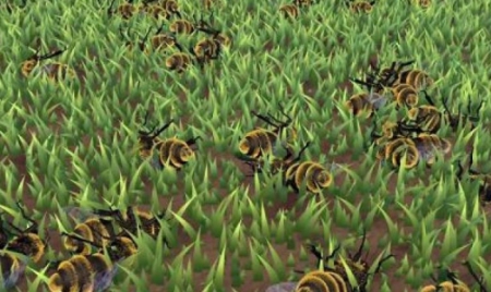 Les abeilles sauvages se portent bien en ville