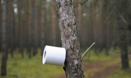 Le Japon appelle les citoyens à faire des réserves… de papier toilette