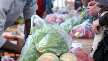 Fruits et légumes: la baisse des prix réjouit le consommateur, pas l’agriculteur