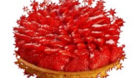 TARTE AUX FRAISES, PATE SABLEE SUCREE ET CREME PATISSIERE