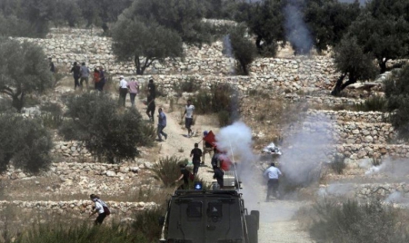 Israël va s’approprier 400 hectares de terres en Cisjordanie