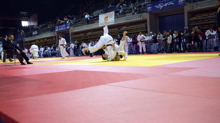 Mondiaux (+78 kg): Andeol battue en demi-finale