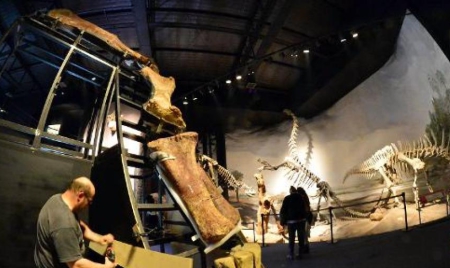 Argentine: découverte du squelette d’un dinosaure herbivore géant
