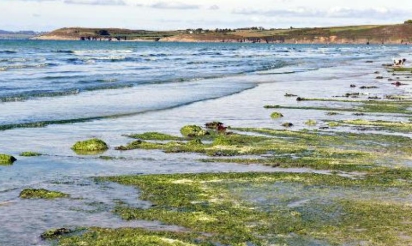 Pollution aux nitrates: la France de nouveau condamnée par la justice européenne