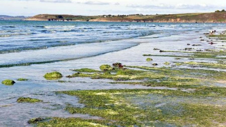 Pollution aux nitrates: la France de nouveau condamnée par la justice européenne
