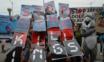 Japon: premiers dauphins abattus depuis l’ouverture de la chasse à Taiji