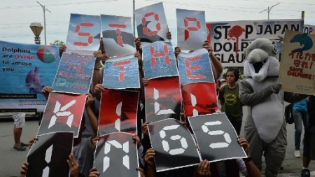 Japon: premiers dauphins abattus depuis l’ouverture de la chasse à Taiji