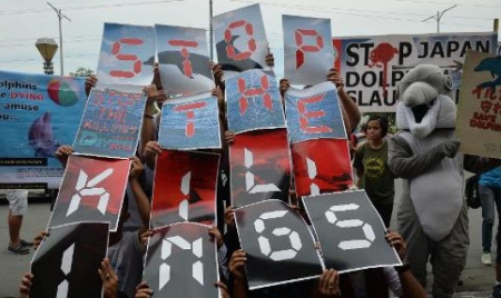 Japon: premiers dauphins abattus depuis l’ouverture de la chasse à Taiji
