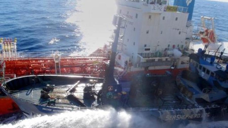 Le Japon ira cette année en Antarctique mais ne tuera pas de baleines