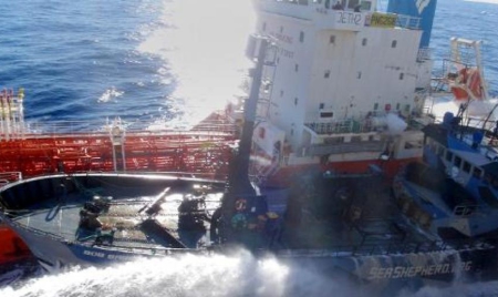 Le Japon ira cette année en Antarctique mais ne tuera pas de baleines