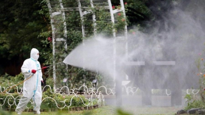 Japon : une vingtaine de cas autochtones de dengue