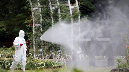 Japon : une vingtaine de cas autochtones de dengue