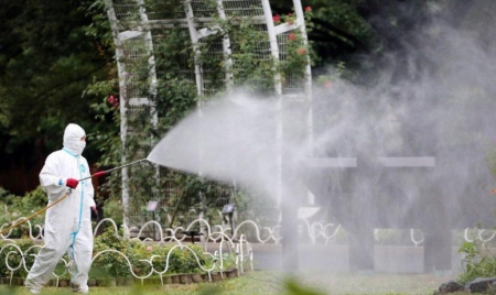 Japon : une vingtaine de cas autochtones de dengue