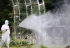Japon : une vingtaine de cas autochtones de dengue
