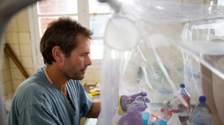 Ebola: un vaccin expérimental efficace sur les singes