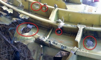 «Le MH17 a été brisé en morceaux pendant le vol»