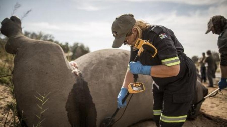 La lutte de l’Afrique du Sud pour sauver ses rhinocéros
