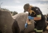 La lutte de l’Afrique du Sud pour sauver ses rhinocéros
