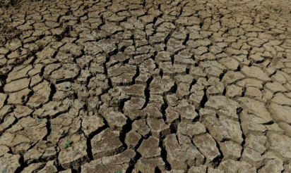 Le mois d’août 2014 bat des records de chaleur dans le monde