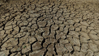 Le mois d’août 2014 bat des records de chaleur dans le monde