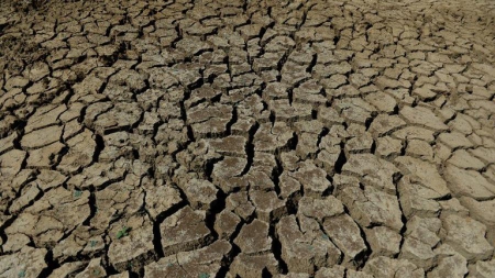 Le mois d’août 2014 bat des records de chaleur dans le monde