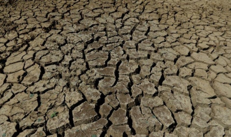 Le mois d’août 2014 bat des records de chaleur dans le monde