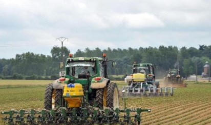 Embargo russe: l’UE va ajouter plus de 125 millions d’euros pour soutenir ses maraîchers