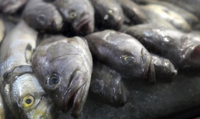 Un odorat qui dysfonctionne peut révéler un risque de mortalité