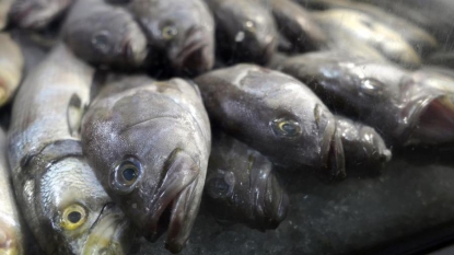 Un odorat qui dysfonctionne peut révéler un risque de mortalité