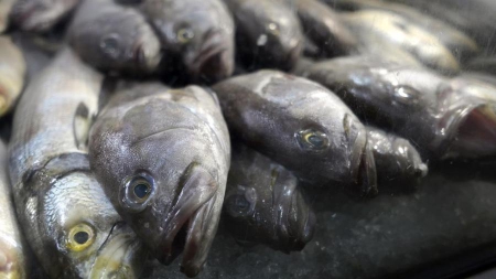 Un odorat qui dysfonctionne peut révéler un risque de mortalité