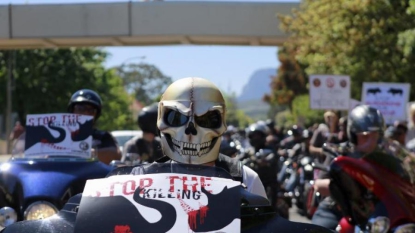 Afrique du Sud: des milliers de manifestants dénoncent le braconnage de rhinocéros et d’éléphants