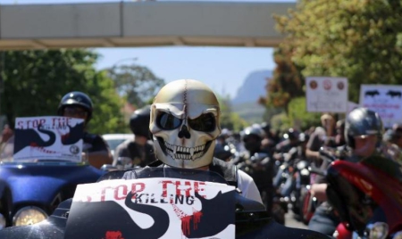 Afrique du Sud: des milliers de manifestants dénoncent le braconnage de rhinocéros et d’éléphants