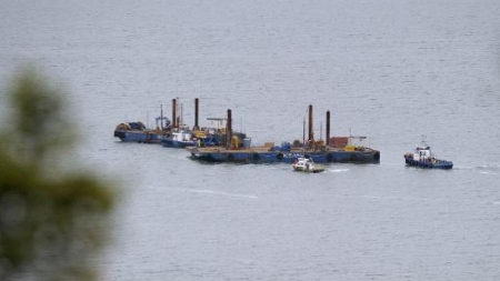 Canada: l’exportation du pétrole bute sur les bélugas du Saint-Laurent