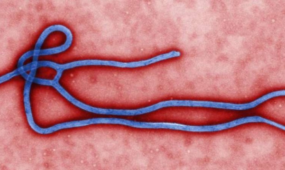 Etats-Unis: une entreprise vendant des peluches Ebola en rupture de stock