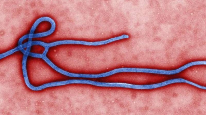 Etats-Unis: une entreprise vendant des peluches Ebola en rupture de stock