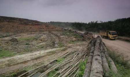 Des lauréats du Nobel sonnent l’alarme sur l’état de la planète