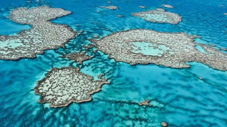 Grande barrière de corail Canberra répond à Barack Obama