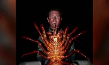 Il pêche un homard géant de 12 kilos