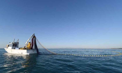 Pêche du thon rouge ONG et pêcheurs suspendus au nouveau quota