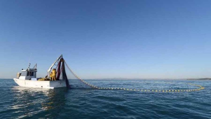 Pêche du thon rouge ONG et pêcheurs suspendus au nouveau quota