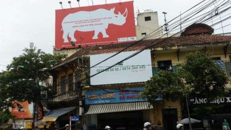 Afrique du Sud: saisie record de cornes de rhinocéros, 2 Vietnamiens arrêtés