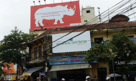 Afrique du Sud: saisie record de cornes de rhinocéros, 2 Vietnamiens arrêtés